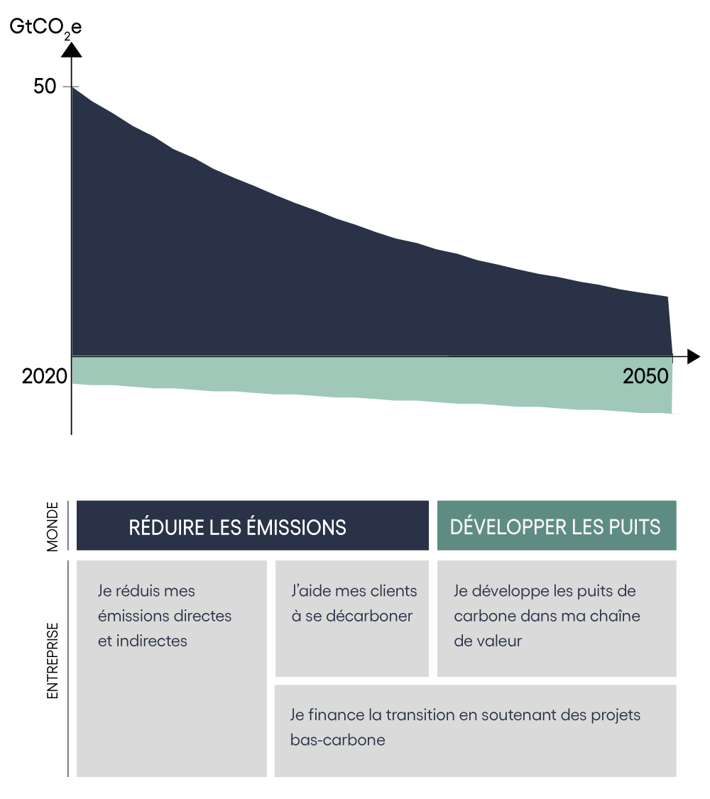 Carbon neutrality